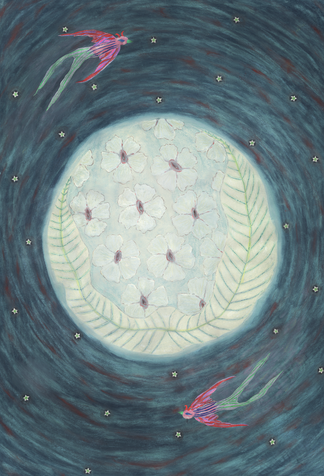 Nightsucker Devil Bird