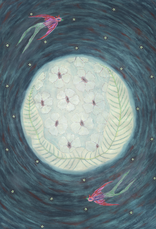 Nightsucker Devil Bird